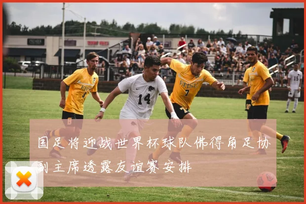 国足将迎战世界杯球队佛得角足协副主席透露友谊赛安排